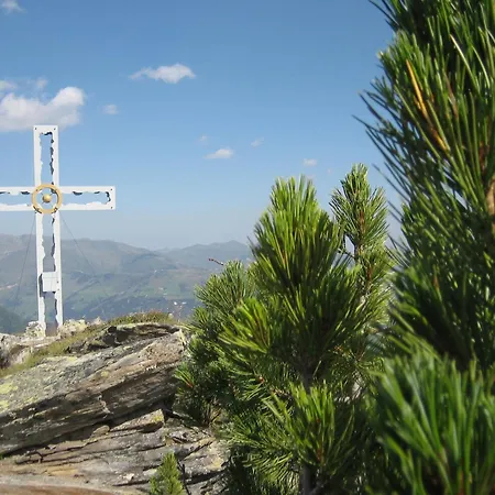 فيرنهوف ستادلبوينت رييد ايم زيلرتال