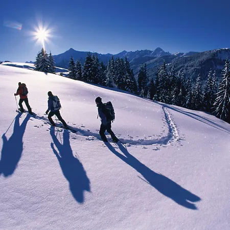 فيرنهوف ستادلبوينت 3* رييد ايم زيلرتال