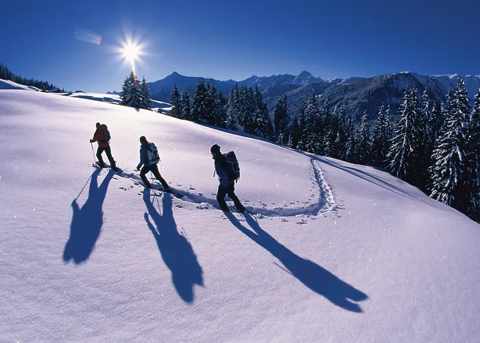 Stadlpoint 3* Ried im Zillertal